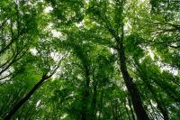 Ireland’s energy and environment priorities for the EU Presidency