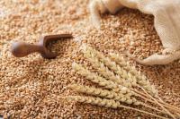 Import of cereal, oilseed crops to be temporarily licensed in Moldova