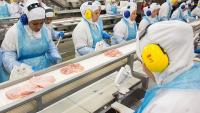 EU suspends Brazilian meat imports over antibiotic concerns