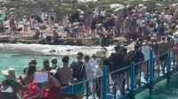 Greece Weighs Beach Booking System as 'Odyssey' Draws Crowds