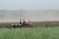 El Niño threatens South Africa’s farmers as dry, hot summer looms