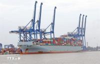 Hải Phòng takes over food safety checks for imported agricultural products