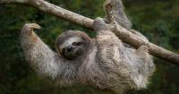 Wildlife, fewer crowds and lush scenery: Why you shouldn’t discount Costa Rica off-season