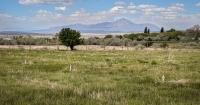 Colfax County in Northern New Mexico places moratorium on data centers
