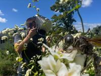 Stuck in Vermont: Exploring Isaac Bissell’s Yard With Vermont Pollinator Photography