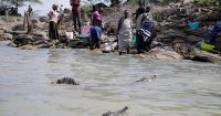 Kenya relocates crocodiles as rising waters bring them into conflict with humans