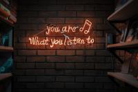 Music and the Human Soul: What Our Songs Reveal About Who We Are
