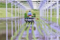 Japanese Agrisolar Projects at Crossroads with Tighter Rules
