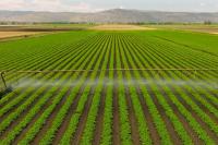 Giving farmers a more sustainable way to protect crops
