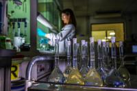 EU allocates 705 million euros to research excellence; Italy ranks second for award‑winning researchers