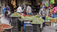 Faulty Equipment Leaves Irbid Almond Processing Project Idle for Years