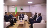 Mauritania discusses Oil and Energy Development With China