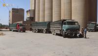 Syria achieves wheat self-sufficiency after record harvest