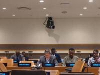 Cambodia Takes Vice-Chair Role in UN Least-Developed Countries Group