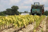 Harare to host high level agriculture conference