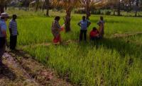 Tanzania considers scrapping land tribunals after the countrywide expansion of courts