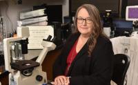 OMRF researchers shed light on lupus kidney damage