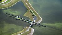 Farmers exceed phosphorus runoff standards in the Glades