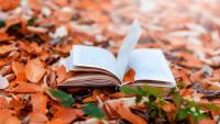 3 Cozy Books to Read If You Want to Get in the Mood for Fall