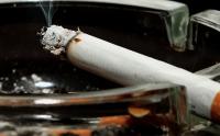 Oliver Peterson: Australian correspondent on the Coalition revealing plans to slash tobacco tax if elected