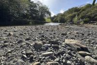 Honduras Counts Empty Corn Rows as Drought Steals the Final Planting Season