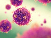 U.S. Measles Cases Surpass Four-Thousand This Year