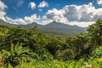 Dominica Reviews Management Plans for Morne Trois Pitons and Morne Diablotin National Parks