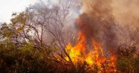 Southeast Asia Haze Crisis: Singapore Warns of Severe Smoke Risk as Indonesia Fires Spread Across Region