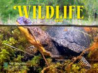 NH Wildlife Calendar Supports Granite State Schools, Clubs, and Local Businesses