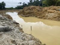 The Galamsey Surge: Trading Our Future, Heritage, Water and Health for Quick Cash?