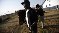 South African showjumping pioneer and 1992 Olympian dies aged 80
