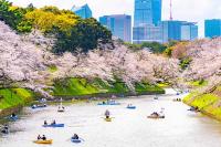 These are the 20 best countries for senior travelers and retirees to visit