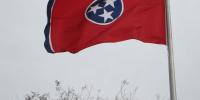 New study finds how much Tennessee’s population grew in a year, ranking among top in U.S.