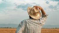 Farming for Love seeks single farmer to join the show