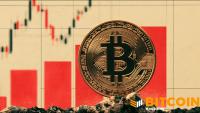 Bitcoin Rallies Over $81,000 — And Brings BTC-Related Stocks With It