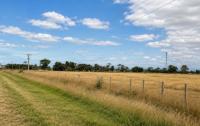 Amazon signs tolling agreement for 50 MW/200 MWh BESS in Australia