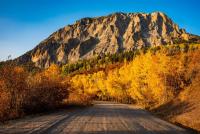 When and where to see peak fall colors in Colorado
