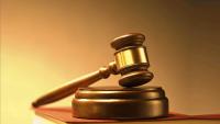 Man now faces felony charges after Nebraska Humane Society seized nearly 80 animals