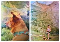 She thought her Colorado vacation photos were gone for good. Then a stranger found her film.