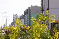 How to Find Affordable Real Estate Properties