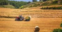 ‘Small farmers are left decimated’: Trump USDA faces calls to exit climate initiative critics call ‘private regulation’