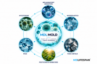 Mold Exposure and Health: Experts Connect What Is Happening in the Home With What May Be Happening in the Body