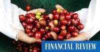 The $350b coffee industry is ignoring the scientist trying to save it
