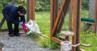 How one Anchorage nonprofit is rebuilding trust with its raptors