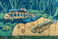 Springfield college student melds biology and art major with Missouri native mural
