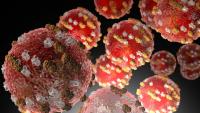 New York state launches new measles database