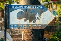 Tonga Caldera Collapse Sent Acoustic Warning That Outran Its Own Tsunami