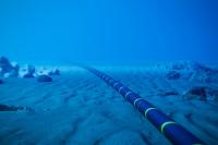 Telecom Egypt Signs Sharm El Sheikh–Taba Cable Deal
