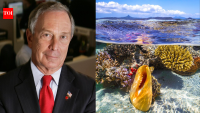 Bloomberg pledges $260M more for oceans, adding to 11M sq mile protections