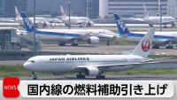 Japan Doubles Fuel Subsidy Rate for Domestic Airlines